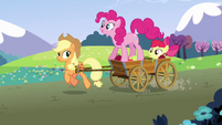 Apple Bloom tiene una buena vista.