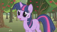 Twilight calls Applejack's name S1E04