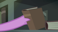 Yet another secret lever thing in the Castle of the Royal Pony Sisters, S4E22