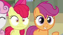 Apple Bloom stunned by Scootaloo's comment S8E6