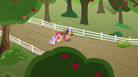 Cutie Mark Crusaders walk to their clubhouse S6E19