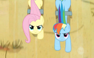 Fluttershy and Rainbow Dash pulling the cart S2E14