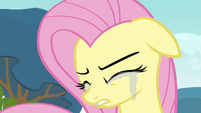 Fluttershy's gotten to the point of tears.