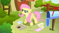 Fluttershy declaring a mighty promise.