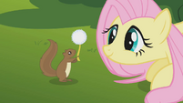 Fluttershy thanks squirrel S01E10