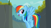 Dashie being awesomely cute.