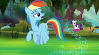 Rainbow Dash -nah, it's too deep- S8E17