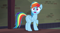 Rainbow Dash gasping in shock S6E13