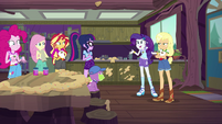 Rarity --it knocked Applejack over-- EG4