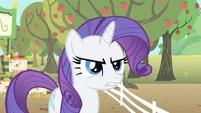 Somepony is angry.