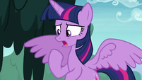 Twilight Sparkle -racing to the retreat- S8E13