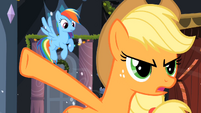 "Rainbow Dash should've flown up there."