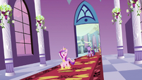 Cadance running away S2E25