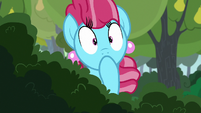 Chiffon Swirl looking shocked S7E13