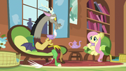 Discord and Fluttershy having Tuesday tea S5E7