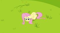 Fluttershy on the ground S2E22