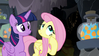 Fluttershy shows the flower to Twilight Sparkle S7E20