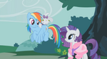 Opal on Rainbow Dash's back S1E14