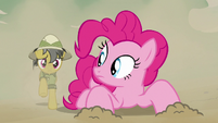Pinkie sees Daring Do coming from behind S7E18