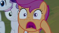 Scootaloo "what are we gonna do?!" S7E16