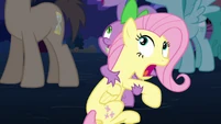 "Don't worry Fluttershy. It's not like Twilight will drop them"