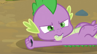 Spike saves Applejack 3 S3E09