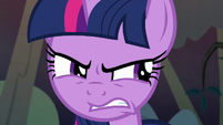 Twilight annoyed by all the arguing S8E13