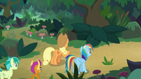 Applejack and Rainbow at a fork in the road S8E9