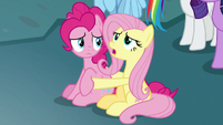 Fluttershy "tell us your pen pal's name" S8E25
