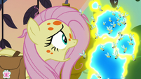Fluttershy pleading with the flash bees S7E20