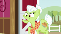 Granny Smith --ain't the same thing!-- S6E23