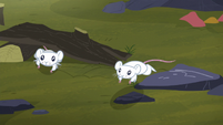 Mice running up to Fluttershy S5E23