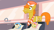 Mr. Cake Pleases Fans With Pony Genetics S02E13