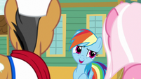 Rainbow Dash "no offense" S9E6