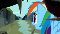 Rainbow Dash looking at the flyers S2E07