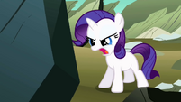 Rarity 'A Rock !' S1E23