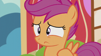 Scootaloo confused by foals' stares S5E18