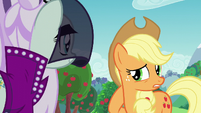 Applejack --while you were meetin' with-- S5E24