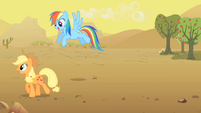 Applejack and Rainbow Dash S01E21