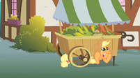 That hat's a bit soft to be of much use against falling objects, Applejack...