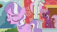 Diamond Tiara calling the CMC blank flanks S5E18