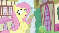 "Whoa-whoa-whoa-whoa, hang on, hold up!"