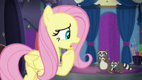 Fluttershy "I don't know much about fashion" S8E4