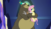 Fluttershy joins critter group hug S5E3