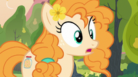 Pear Butter in sheer surprise S7E13