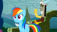 Rainbow Dash i Discord.