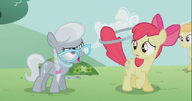 S02E06 Silver Spoon krzyczy na Apple Bloom