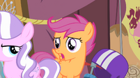 Scootaloo 'Why' S4E05