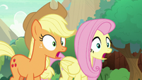 AJ and Fluttershy completely awestruck S8E23