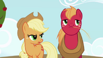 ApplejackBigMacintosh